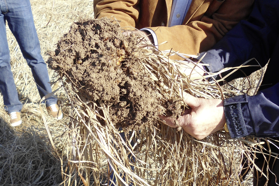 Product Knowledge: Tigernuts