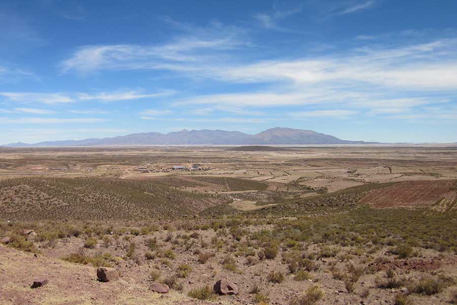 A balanced mix of management, shrub cover and protected areas is important for the conservation of the Andean plateau.