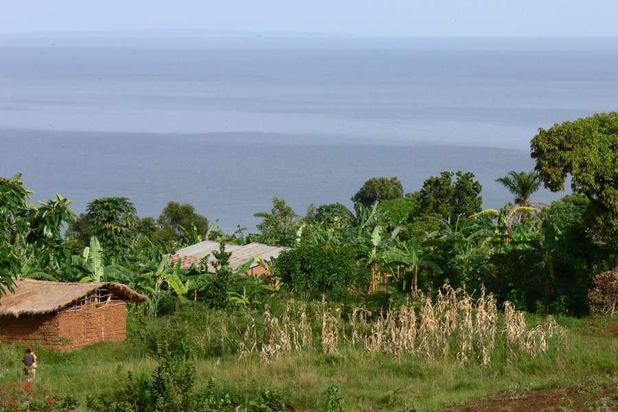 HAND IN HAND Herocoffee from Tansania