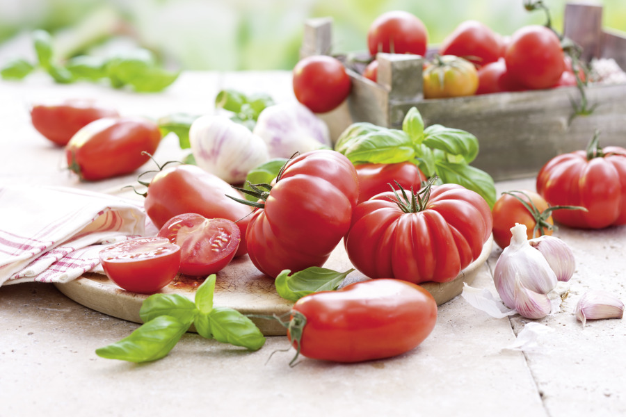 Tomato & vegetable sauces