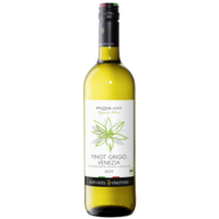Pinot Grigio DOC Venezia