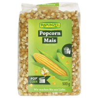 404330 Popcorn maize