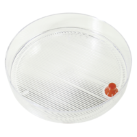 Germinator seed tray, with red plug bioSnacky